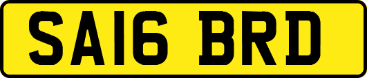 SA16BRD