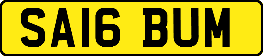SA16BUM