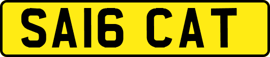 SA16CAT
