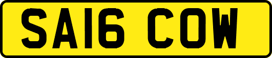 SA16COW