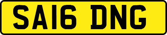 SA16DNG