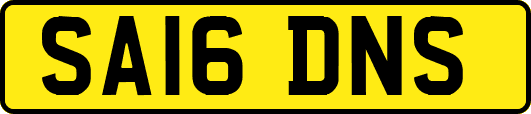 SA16DNS