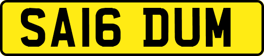 SA16DUM