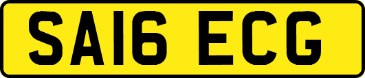 SA16ECG