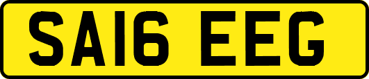 SA16EEG