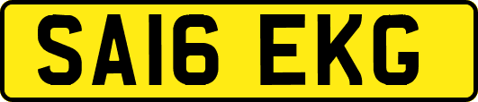 SA16EKG