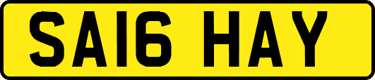 SA16HAY