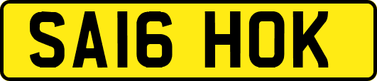 SA16HOK