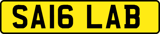 SA16LAB