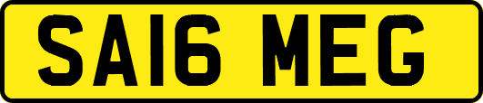 SA16MEG