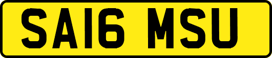 SA16MSU