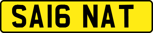 SA16NAT