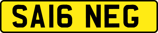 SA16NEG