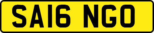 SA16NGO