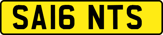 SA16NTS