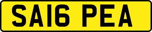 SA16PEA