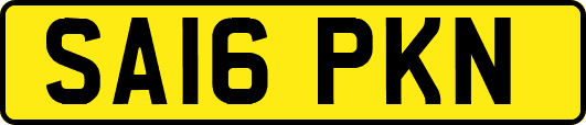 SA16PKN