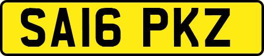 SA16PKZ