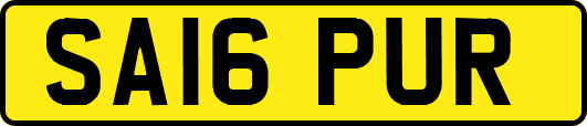 SA16PUR