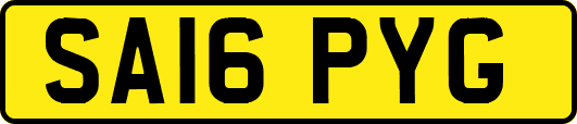 SA16PYG