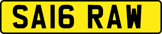SA16RAW