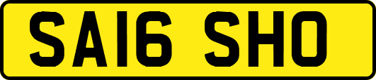 SA16SHO