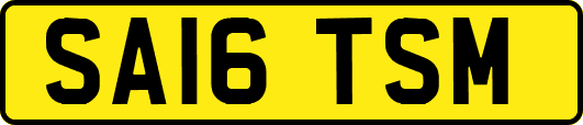 SA16TSM
