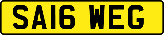 SA16WEG