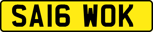 SA16WOK