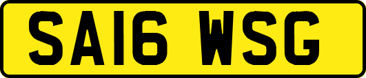 SA16WSG