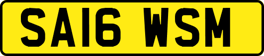 SA16WSM