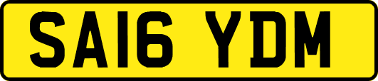 SA16YDM