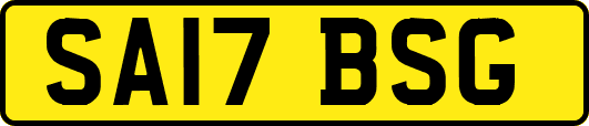 SA17BSG