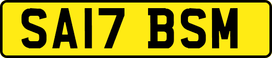 SA17BSM
