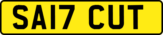 SA17CUT