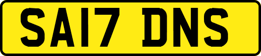 SA17DNS