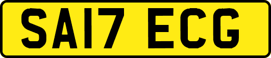 SA17ECG