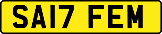 SA17FEM