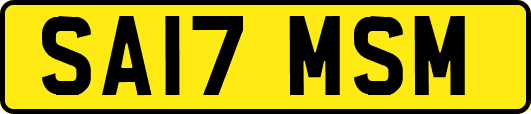 SA17MSM