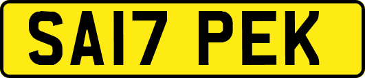 SA17PEK
