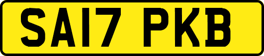 SA17PKB
