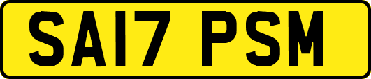 SA17PSM