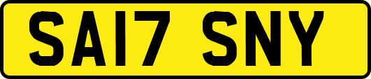 SA17SNY
