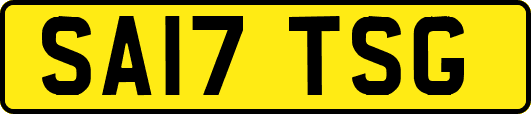 SA17TSG