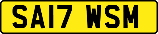 SA17WSM