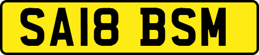 SA18BSM
