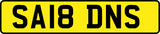 SA18DNS