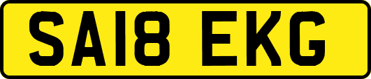 SA18EKG