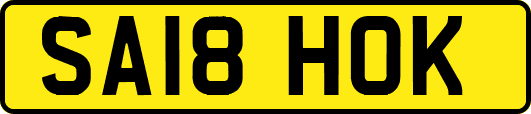 SA18HOK