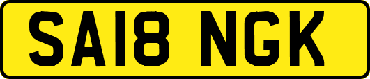 SA18NGK